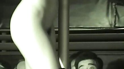 Seks HD kedi mobil porno amator